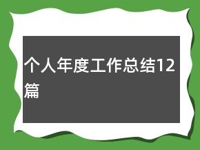 個(gè)人年度工作總結(jié)12篇