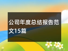 公司年度總結(jié)報告范文15篇