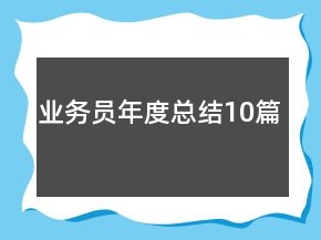 業(yè)務員年度總結(jié)10篇