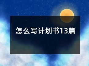怎么寫(xiě)計(jì)劃書(shū)13篇