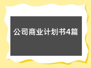 公司商業(yè)計劃書4篇