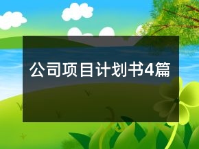 公司項目計劃書4篇