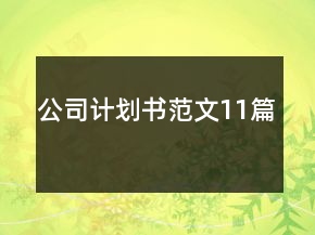 公司計劃書范文11篇