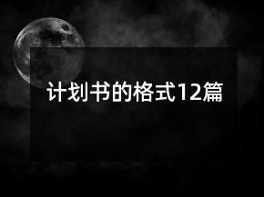 計(jì)劃書的格式12篇