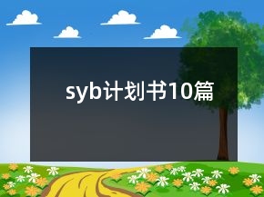 syb計(jì)劃書10篇
