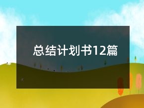 總結(jié)計劃書12篇