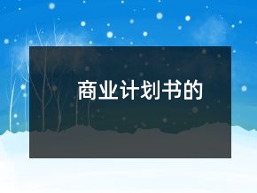 商業(yè)計(jì)劃書(shū)的