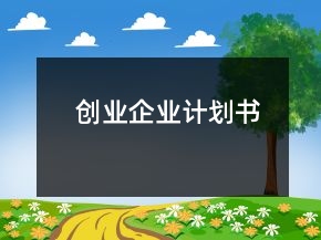 創(chuàng)業(yè)企業(yè)計劃書