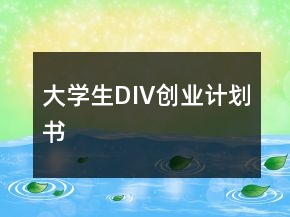 大學(xué)生DIV創(chuàng)業(yè)計(jì)劃書