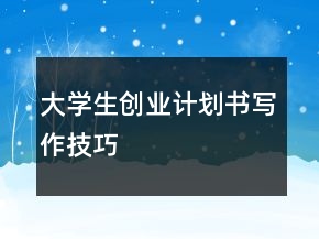 大學(xué)生創(chuàng)業(yè)計(jì)劃書(shū)寫(xiě)作技巧