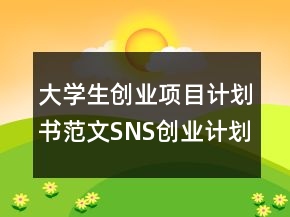 大學生創(chuàng)業(yè)項目計劃書范文SNS創(chuàng)業(yè)計劃書