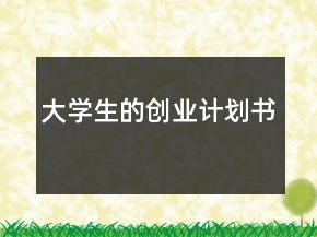 大學(xué)生的創(chuàng)業(yè)計劃書