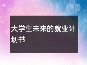 大學生未來的就業(yè)計劃書