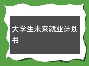 大學生未來就業(yè)計劃書