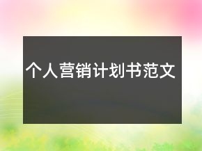 個(gè)人營(yíng)銷計(jì)劃書范文