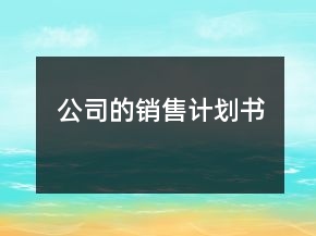 公司的銷售計劃書