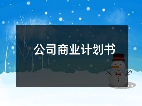 公司商業(yè)計劃書