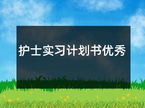 護士實習計劃書優(yōu)秀