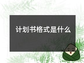 計劃書格式是什么