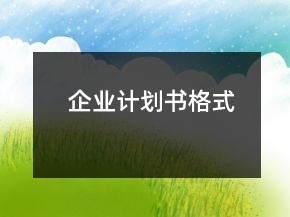 企業(yè)計劃書格式
