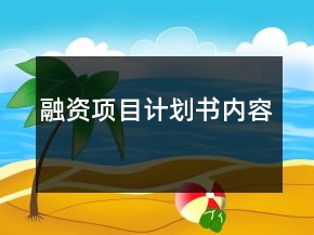 融資項目計劃書內(nèi)容