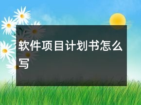 軟件項(xiàng)目計(jì)劃書怎么寫