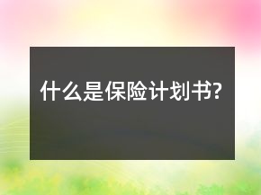 什么是保險(xiǎn)計(jì)劃書(shū)?