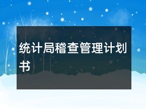 統(tǒng)計(jì)局稽查管理計(jì)劃書