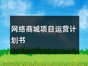 網(wǎng)絡(luò)商城項(xiàng)目運(yùn)營(yíng)計(jì)劃書