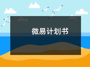 微易計(jì)劃書