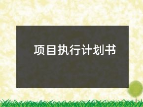 項目執(zhí)行計劃書