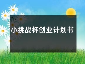 小挑戰(zhàn)杯創(chuàng)業(yè)計劃書