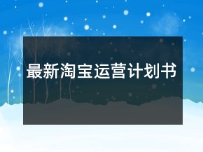 最新淘寶運營計劃書