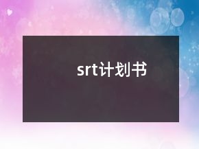 srt計劃書