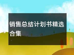 銷售總結(jié)計(jì)劃書精選合集