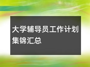 大學(xué)輔導(dǎo)員工作計(jì)劃集錦匯總