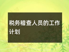 稅務(wù)稽查人員的工作計劃