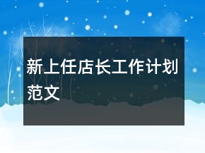 新上任店長工作計(jì)劃范文
