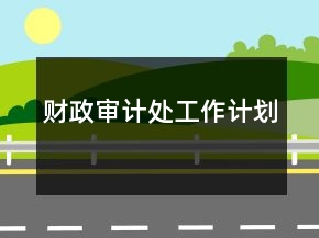 財(cái)政審計(jì)處工作計(jì)劃