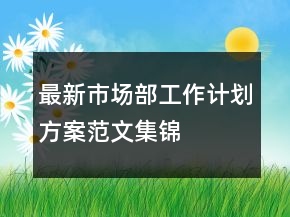最新市場(chǎng)部工作計(jì)劃方案范文集錦