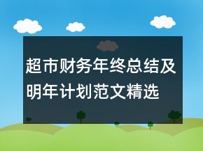 超市財(cái)務(wù)年終總結(jié)及明年計(jì)劃范文精選