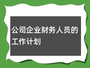 公司企業(yè)財務人員的工作計劃