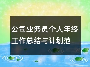 公司業(yè)務(wù)員個(gè)人年終工作總結(jié)與計(jì)劃范文