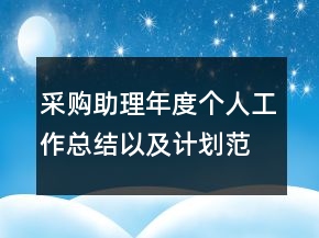 采購助理年度個(gè)人工作總結(jié)以及計(jì)劃范文