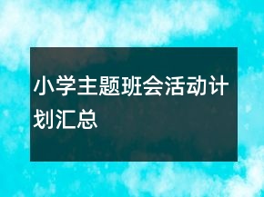 小學(xué)主題班會(huì)活動(dòng)計(jì)劃匯總