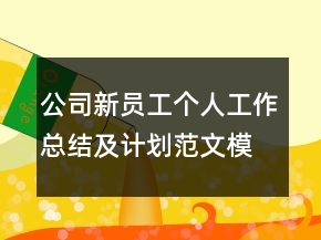 公司新員工個人工作總結(jié)及計劃范文模板