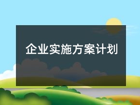 企業(yè)實(shí)施方案計(jì)劃