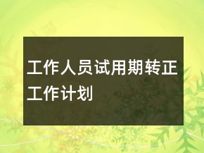 工作人員試用期轉(zhuǎn)正工作計劃