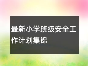 最新小學(xué)班級(jí)安全工作計(jì)劃集錦
