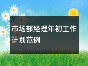 市場部經(jīng)理年初工作計(jì)劃范例